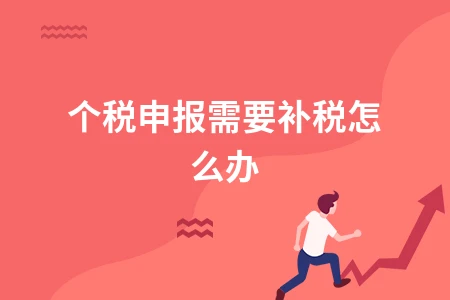 个人所得税申报补税操作指南及完整流程解析