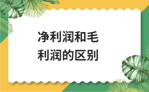 净利润和毛利润的区别 净利润和毛利润的区别