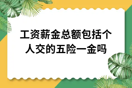 工资薪金总额包括个人交的五险一金吗