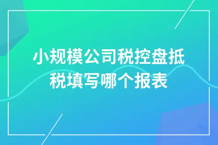 小规模公司税控盘抵税填写哪个报表