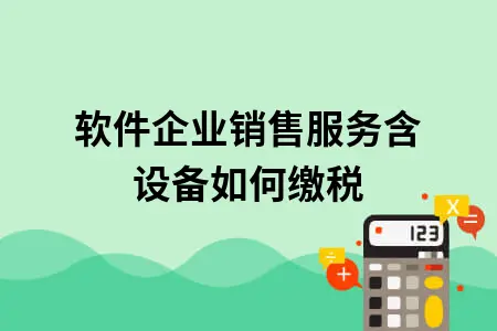 软件企业销售服务含设备如何缴税 软件企业销售服务含设备如何缴税