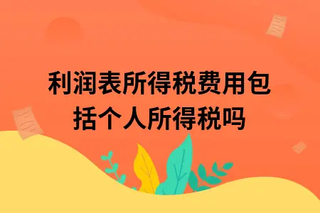 利润表所得税费用包括个人所得税吗 利润表所得税费用包括个人所得税吗