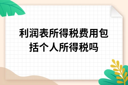 利润表所得税费用不包括个人所得税详解