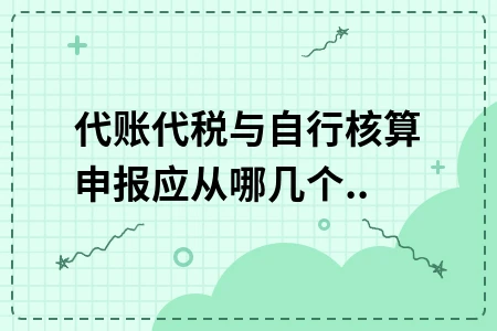 代账代税与自行核算申报的选择要点分析