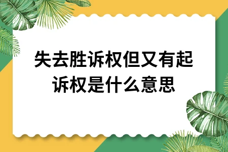 失去胜诉权仍有起诉权的法律含义及诉讼时效解析