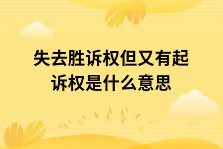 失去胜诉权但又有起诉权是什么意思