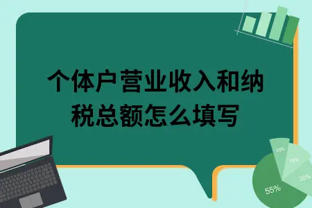 个体户营业收入和纳税总额怎么填写