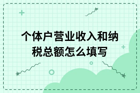 个体户营业收入纳税总额填写指南及年报流程详解