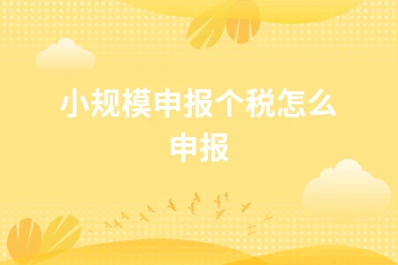 小规模纳税人个税申报流程及计算方法详解