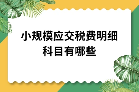 小规模纳税人应交税费明细科目设置及会计处理方法