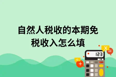 自然人税收的本期免税收入怎么填