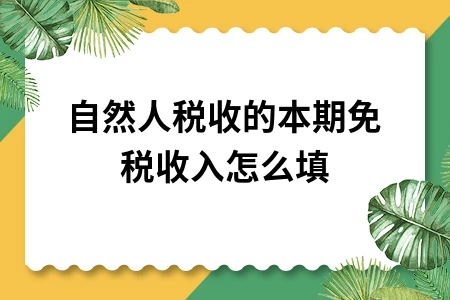自然人税收本期免税收入填写指南及免税政策详解