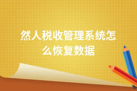 自然人税收管理系统数据恢复操作指南及常见问题解决方案