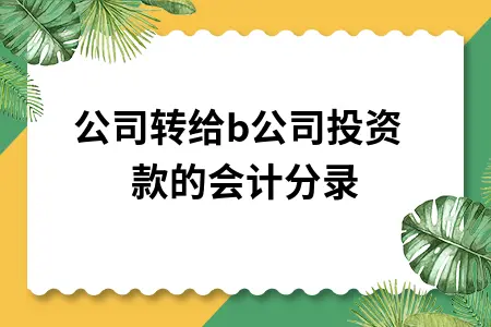 a公司转给b公司投资款的会计分录