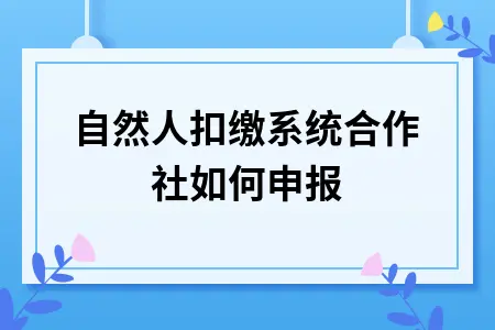 自然人扣缴系统合作社如何申报
