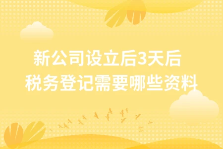 新公司注册后税务登记流程及纳税申报时间节点详解