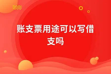 转账支票用途可以写借支吗