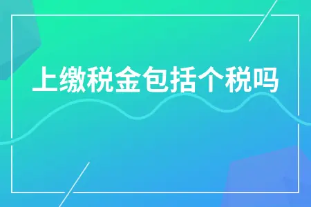 上缴税金包括个税吗