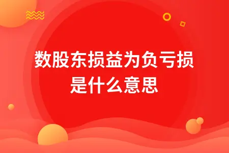 少数股东损益为负亏损是什么意思