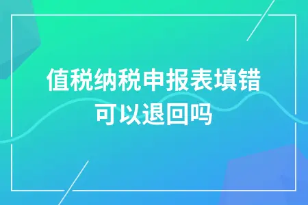增值税纳税申报表填错可以退回吗