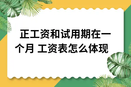 转正工资和试用期在一个月 工资表怎么体现