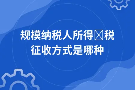 小规模纳税人所得税征收方式详解：查账征收与计算方法