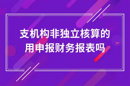 分支机构非独立核算的用申报财务报表吗