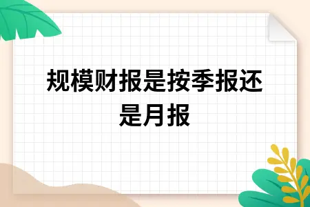 小规模财报是按季报还是月报