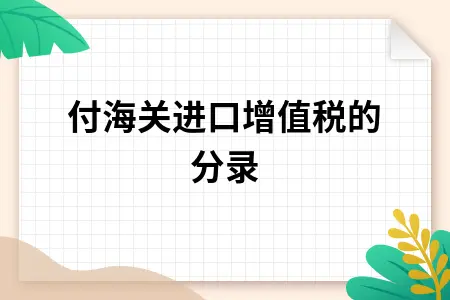 支付海关进口增值税的分录