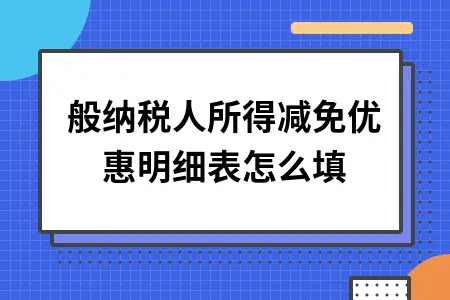 一般纳税人所得减免优惠明细表怎么填
