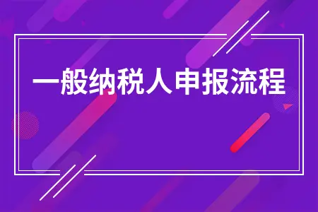 一般纳税人申报流程