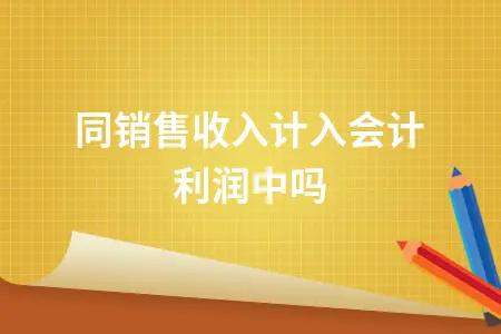 视同销售收入计入会计利润中吗