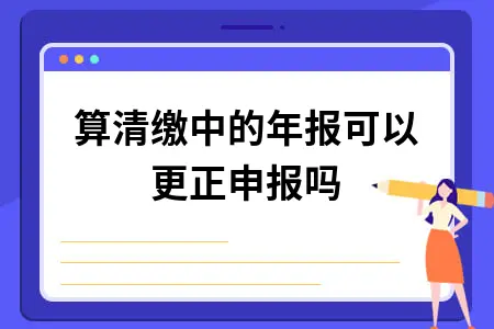 汇算清缴中的年报可以更正申报吗