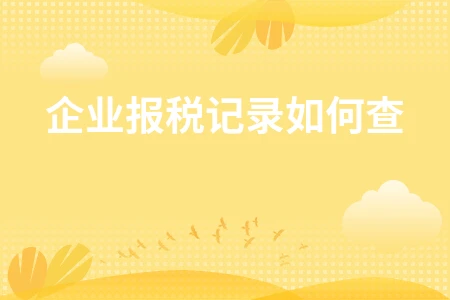 企业报税记录查询方法详解，个税申报情况在线查询指南