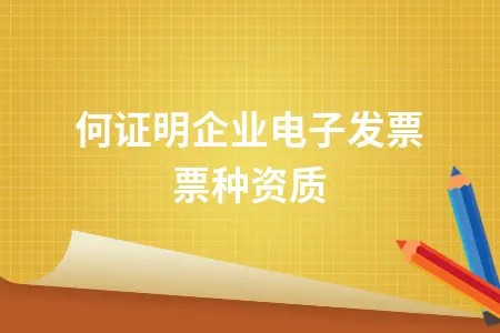 如何证明企业电子发票票种资质