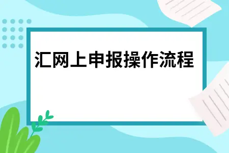外汇网上申报操作流程