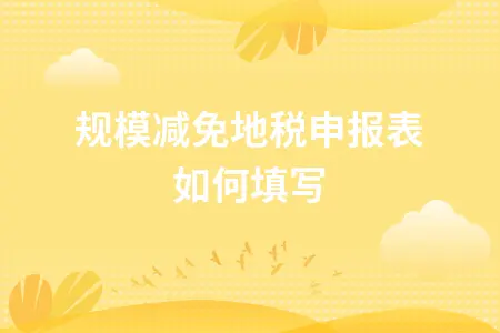 小规模减免地税申报表如何填写