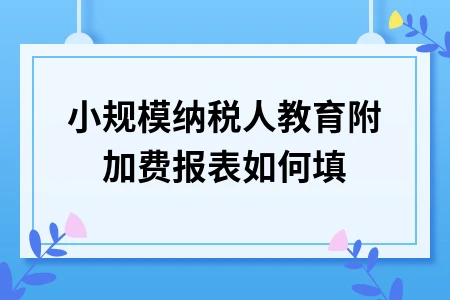 小规模纳税人教育附加费报表填写指南及申报流程详解