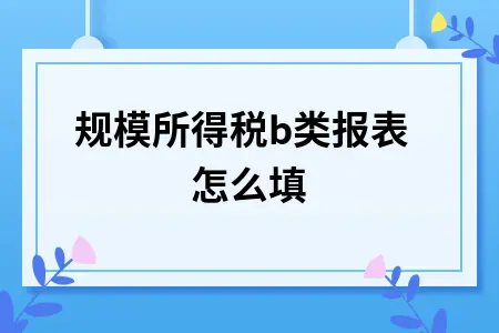 小规模所得税b类报表怎么填 小规模所得税b类报表怎么填