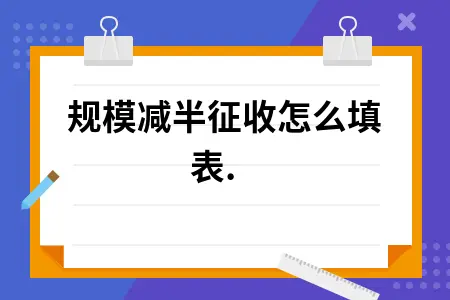 小规模减半征收怎么填表. 小规模减半征收怎么填表.