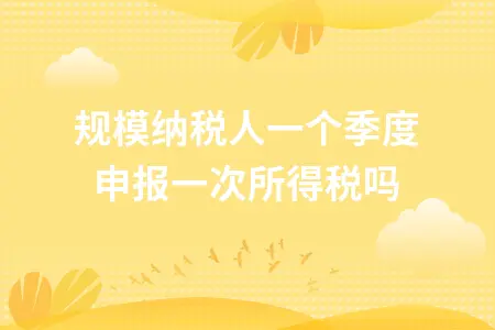 小规模纳税人一个季度申报一次所得税吗