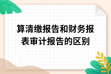 汇算清缴报告和财务报表审计报告的区别