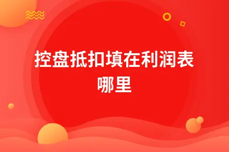 税控盘抵扣填在利润表哪里