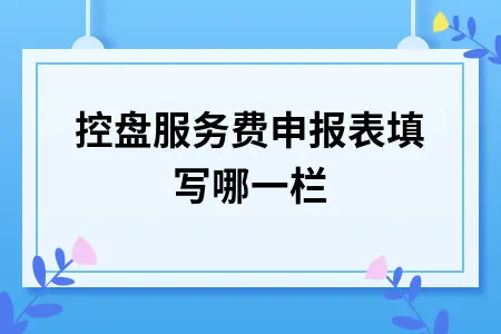 税控盘服务费申报表填写哪一栏