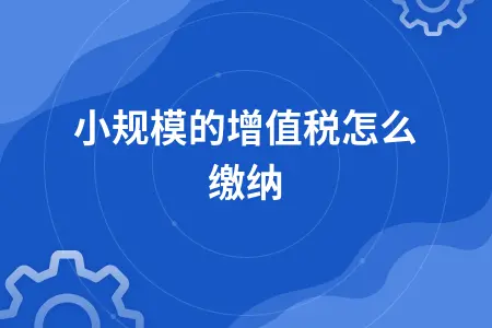 小规模的增值税怎么缴纳