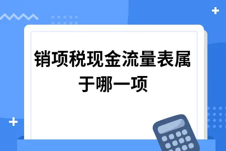 销项税现金流量表属于哪一项 销项税现金流量表属于哪一项