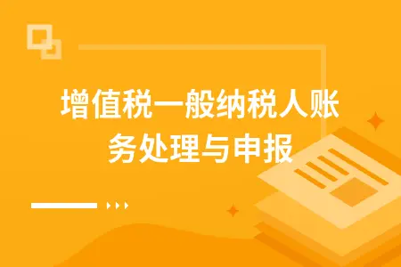 增值税一般纳税人账务处理与申报