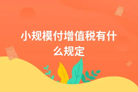 小规模付增值税有什么规定 小规模付增值税有什么规定