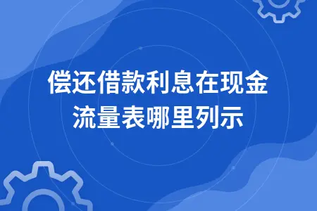 偿还借款利息在现金流量表哪里列示