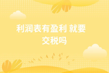 利润表有盈利就要交税吗？看懂公司经营状态的关键指标